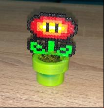COMPRAR FLOR FUEGO EN TUBO